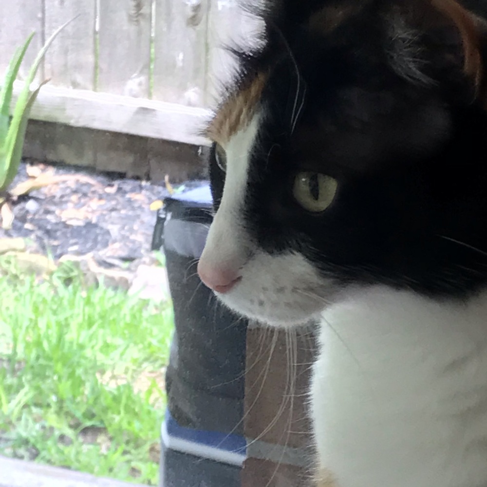 Meet your Posher, Adriana